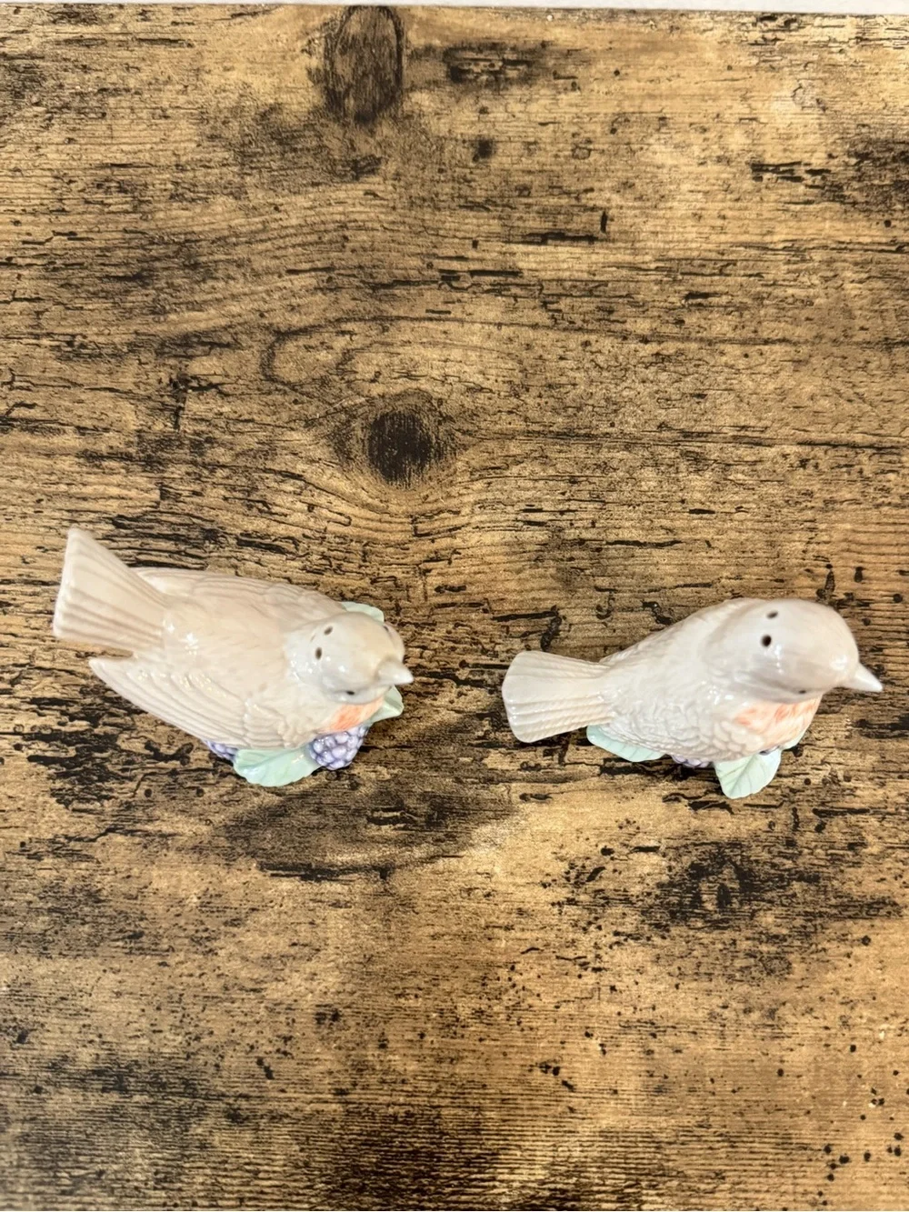 Vintage Bird Salt & Pepper Shakers | Porcelain Floral Berry
